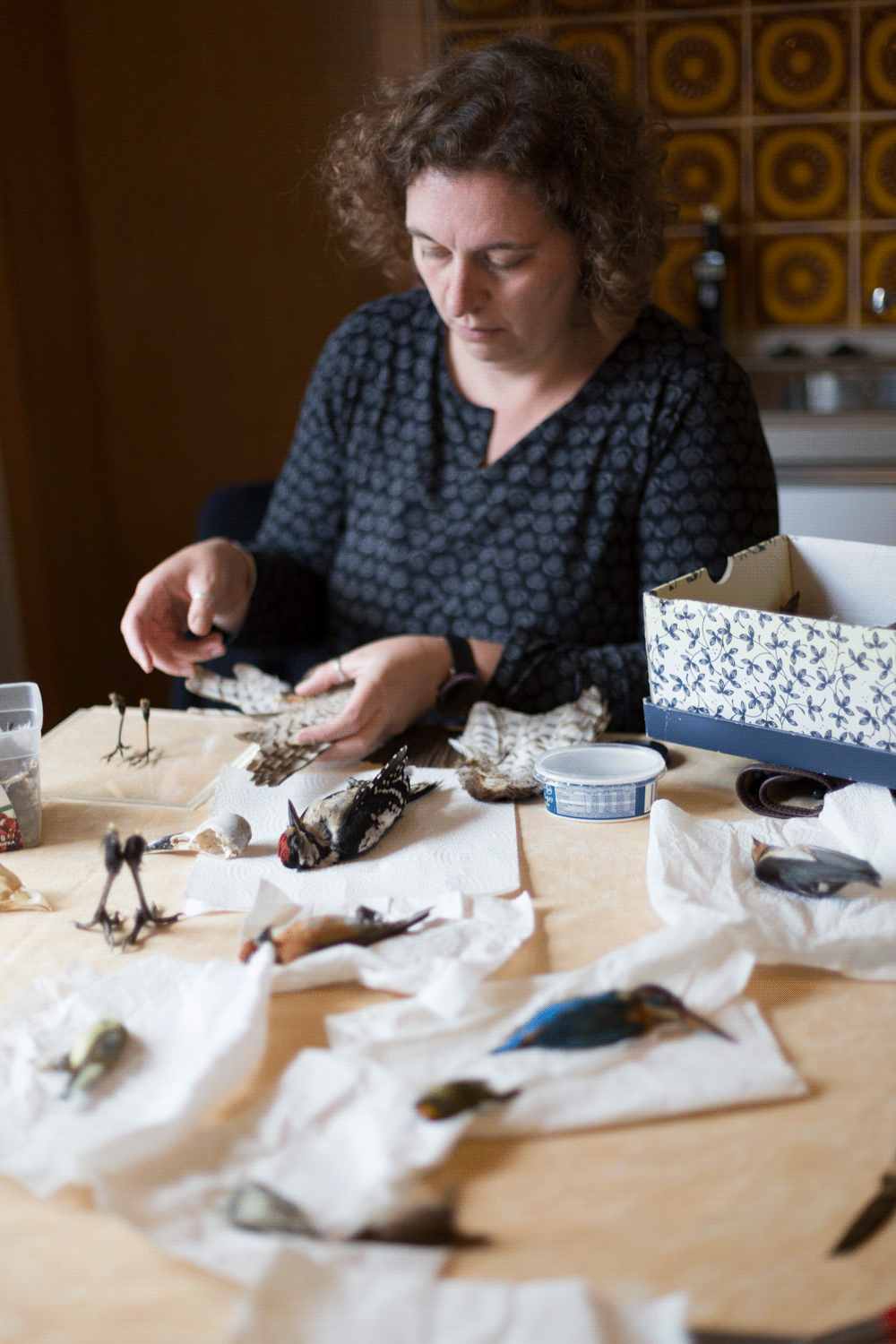 Emerging_Artists_Claudia_Schluckebier_04